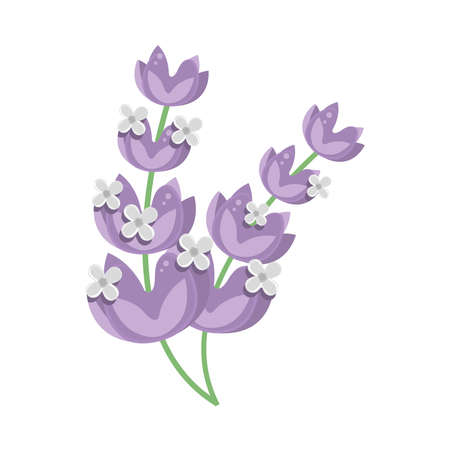lilac flowers leavesのイラスト素材
