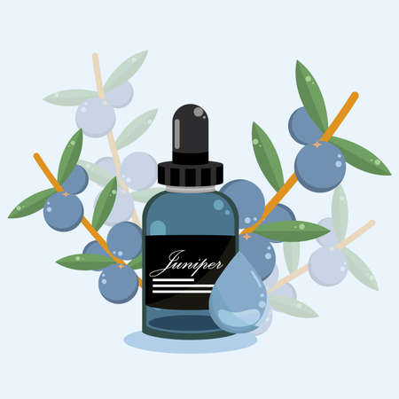 juniper essential oilのイラスト素材