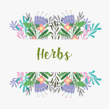 herbs flowers bannerのイラスト素材
