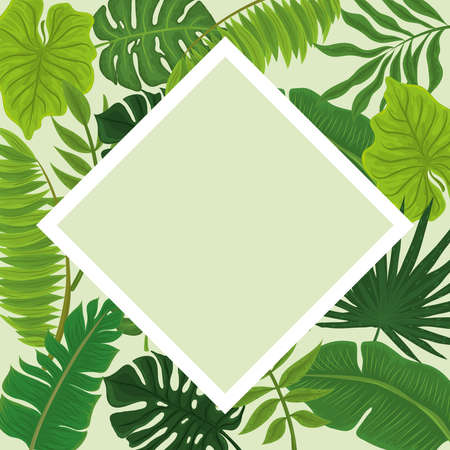 tropical greenery labelのイラスト素材