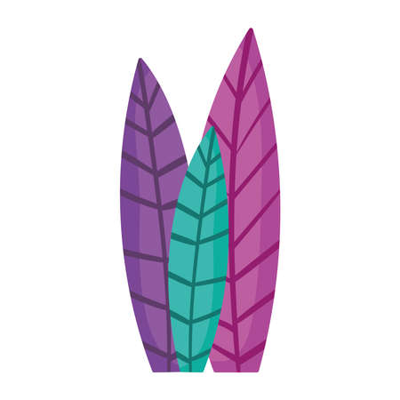 foliage leaves botanicalのイラスト素材