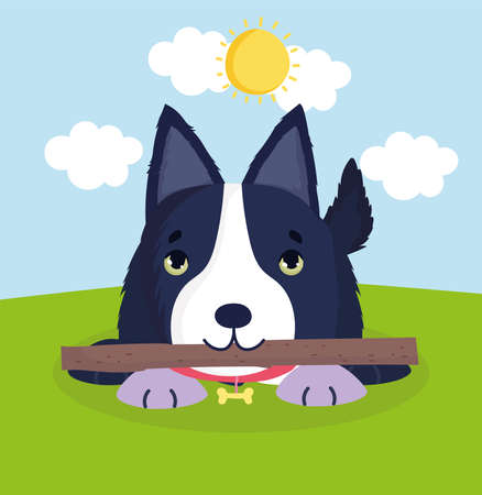 dog playing with woodのイラスト素材