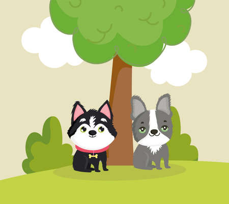 little dogs in grassのイラスト素材