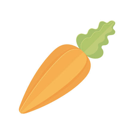 carrot nutrition vegetableのイラスト素材