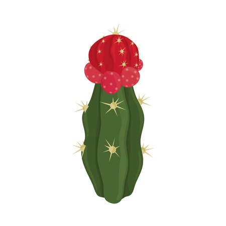 cactus flora plantのイラスト素材