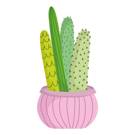 houseplant cactus succulentsのイラスト素材