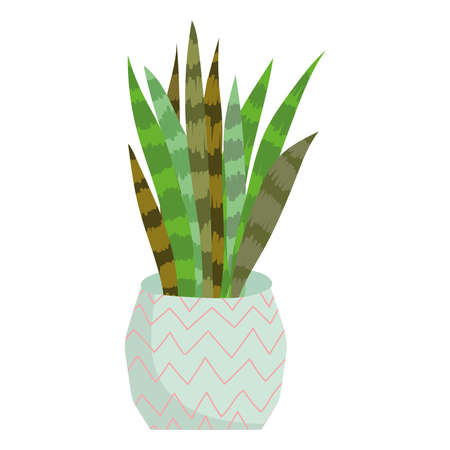 houseplant plant in potのイラスト素材