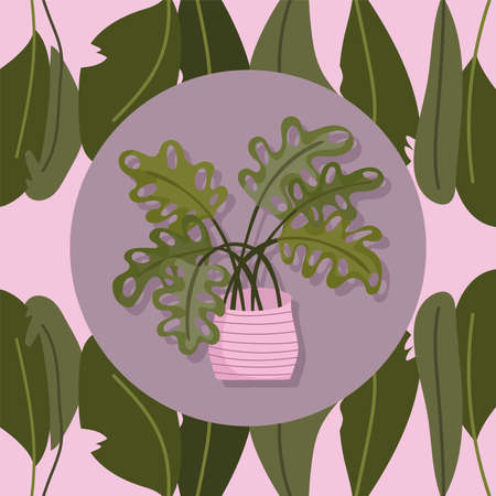 monstera plant in potのイラスト素材