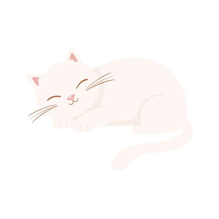 white sleeping catのイラスト素材