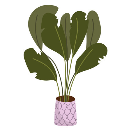 plant in the pot houseplantのイラスト素材