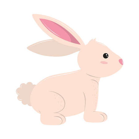 cute little rabbitのイラスト素材