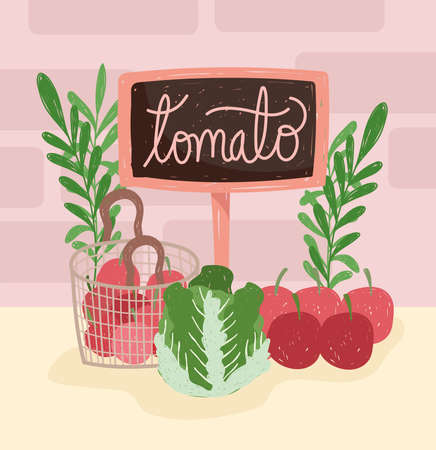 tomato lettuce organicのイラスト素材