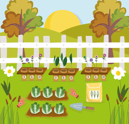 landscape garden plantsのイラスト素材