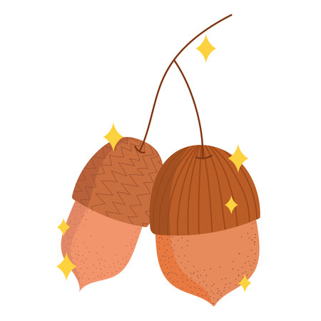 acorn nuts cartoonのイラスト素材