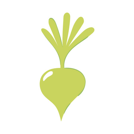 green radish vegetable icon isolatedのイラスト素材