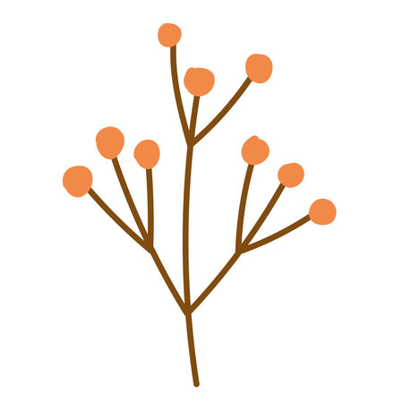 autumnal branch fruitのイラスト素材
