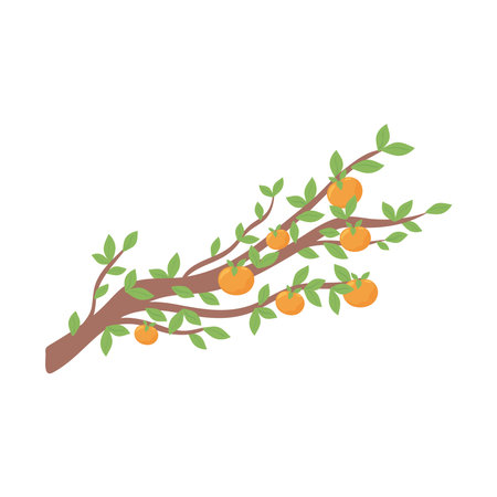 branch orange treeのイラスト素材