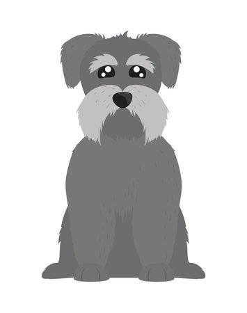 schnauzer dog petのイラスト素材