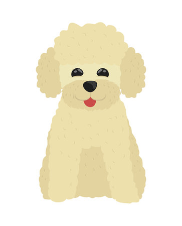 poodle dog petのイラスト素材