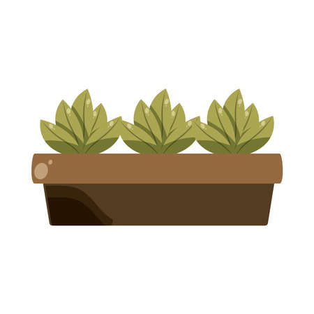 potted sprout plantsのイラスト素材