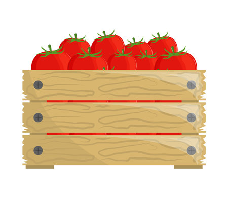 tomatoes fresh vegetableのイラスト素材