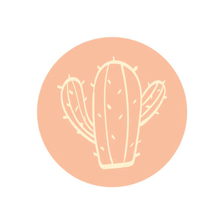 cactus plant exoticのイラスト素材