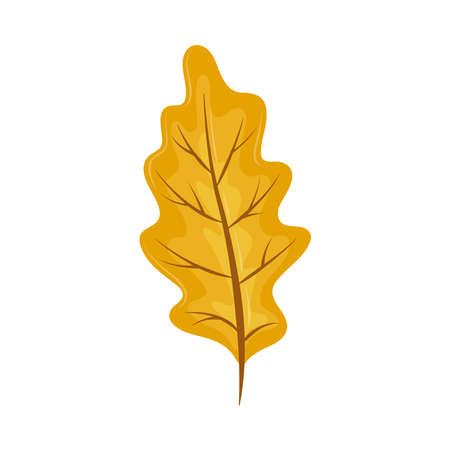 autumnal leaf natureのイラスト素材