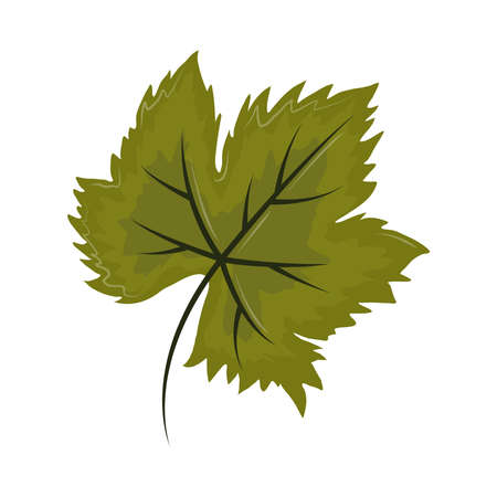 green leaf foliageのイラスト素材