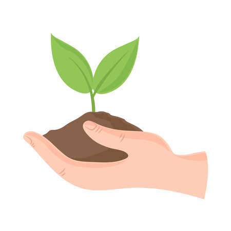 hand with sproutのイラスト素材