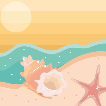 shell and starfishのイラスト素材