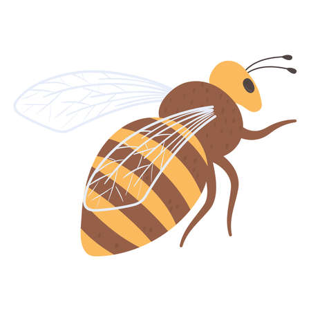 flying bee insectのイラスト素材