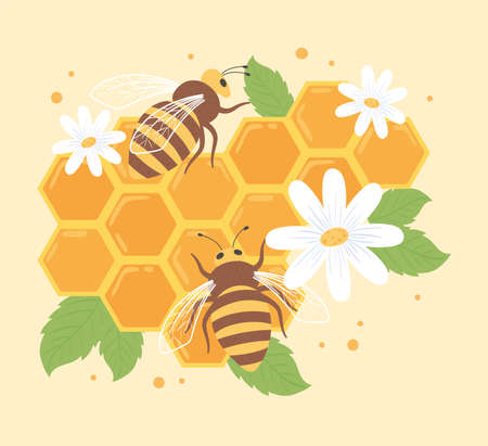 bees and honeycombのイラスト素材