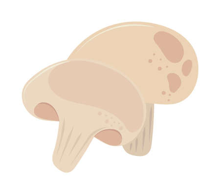 mushroom fresh iconのイラスト素材