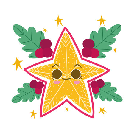 kawaii star and mistletoeのイラスト素材