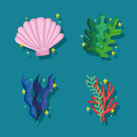 icons seaweed and shellのイラスト素材