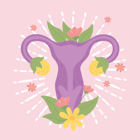 uterus body partのイラスト素材