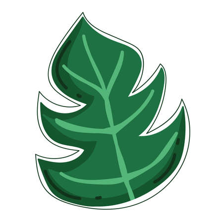 tropical exotic leafのイラスト素材