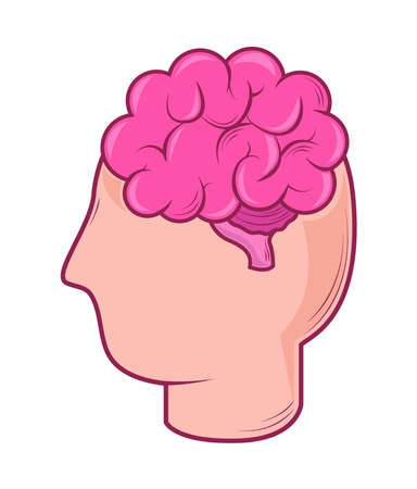 profile head and brainのイラスト素材