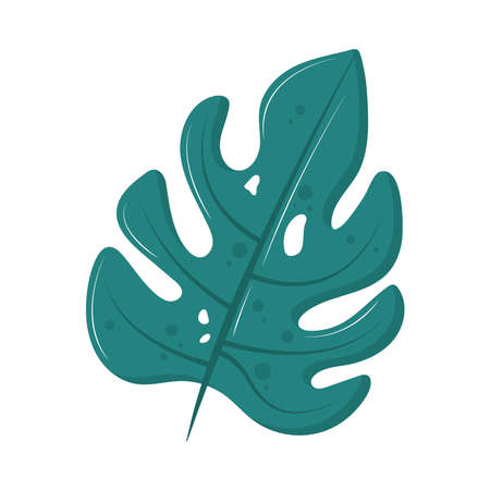 tropical palm leafのイラスト素材