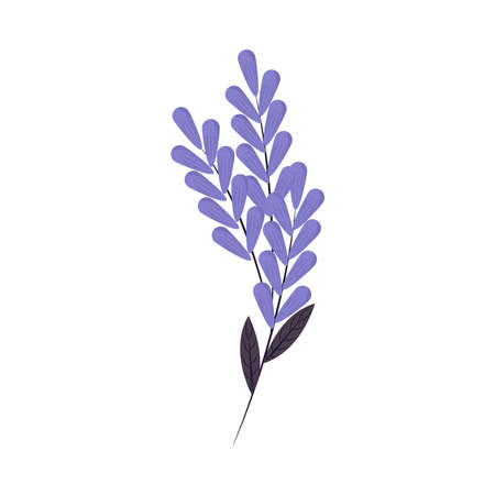 lilac flowers leafのイラスト素材