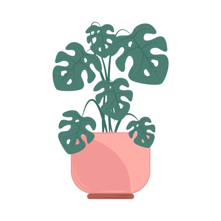 tropical plant in potのイラスト素材