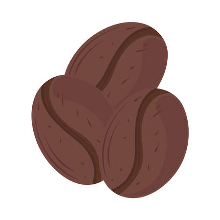 coffee dry seedsのイラスト素材