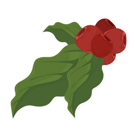 coffee seeds and leavesのイラスト素材