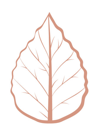 leaf nature iconのイラスト素材