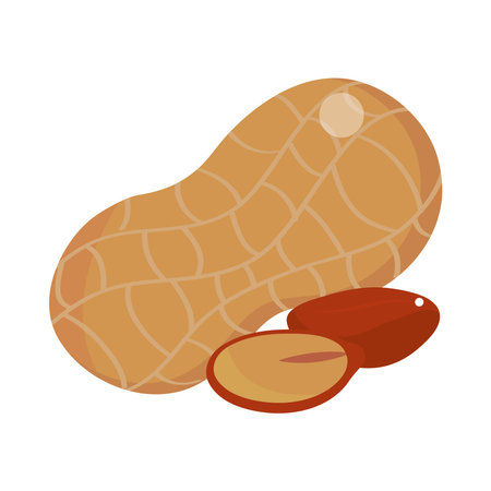 pistachios icon isolatedのイラスト素材