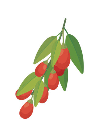 branch of gojiのイラスト素材