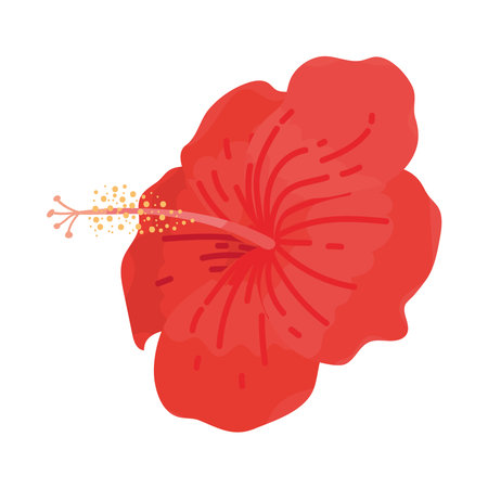 tropical hibiscus flower iconのイラスト素材