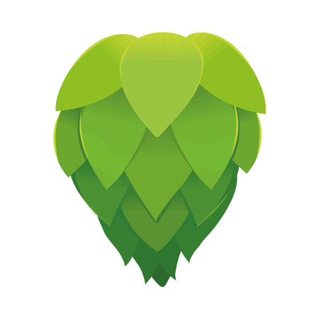 green hop harvest