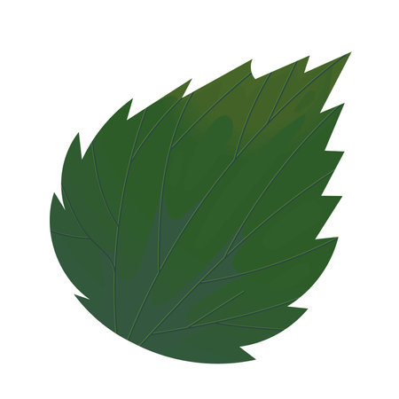 green leaf foliageのイラスト素材