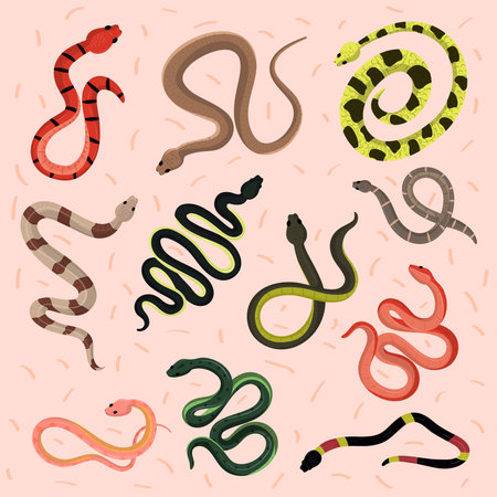 icons set of snakesのイラスト素材